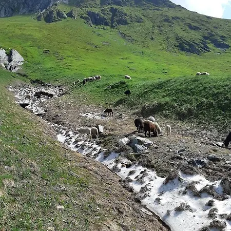 Hansenhof * Prägraten