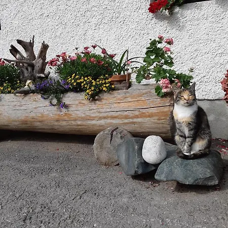 Çiftlik konaklama Hansenhof Prägraten