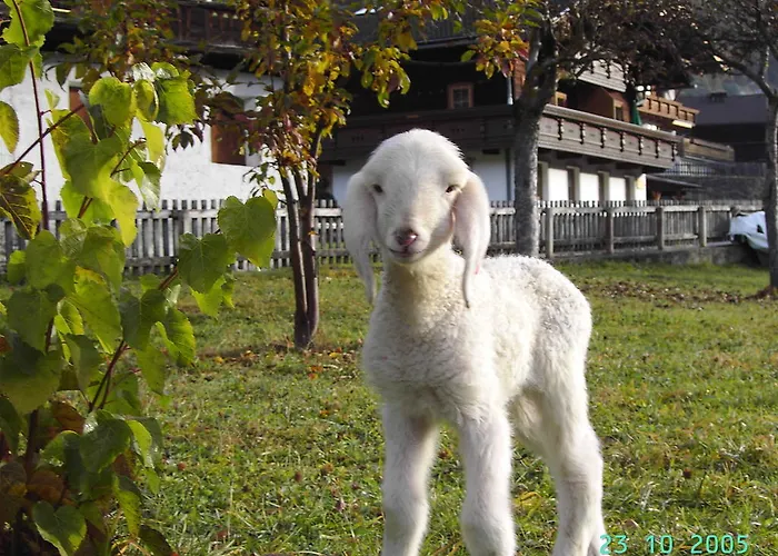 Hansenhof * Pragraten