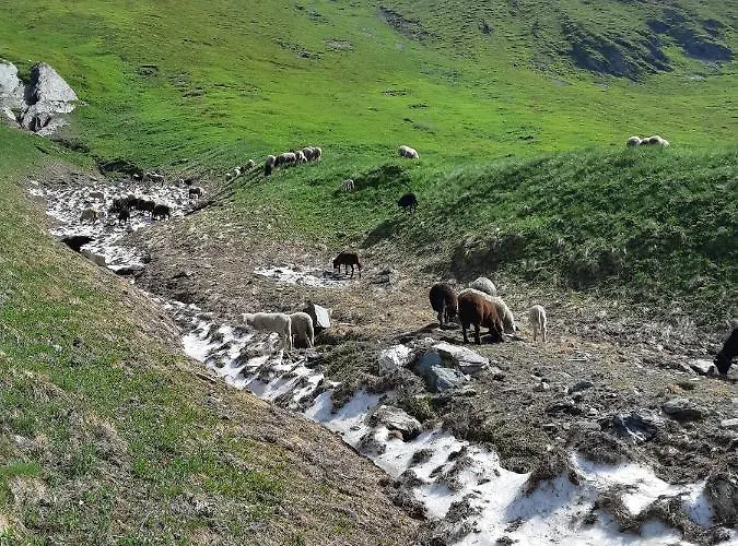 Hansenhof * Pragraten