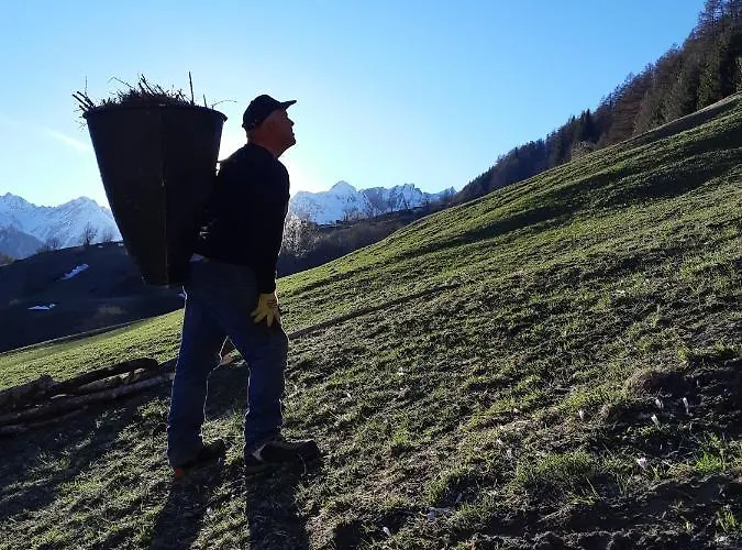 Hansenhof Farm stay *