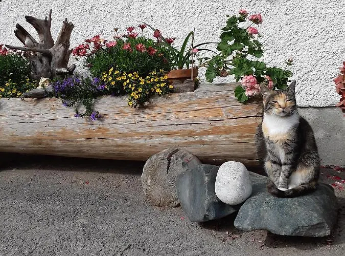 Farm stay Hansenhof Pragraten