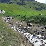 Hansenhof * Prägraten