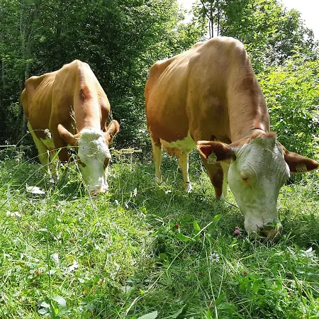 Hansenhof Prägraten