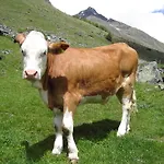Gospodarstwo agroturystyczne Hansenhof Prägraten