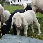Hansenhof Gospodarstwo agroturystyczne