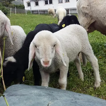 Hansenhof Farm stay